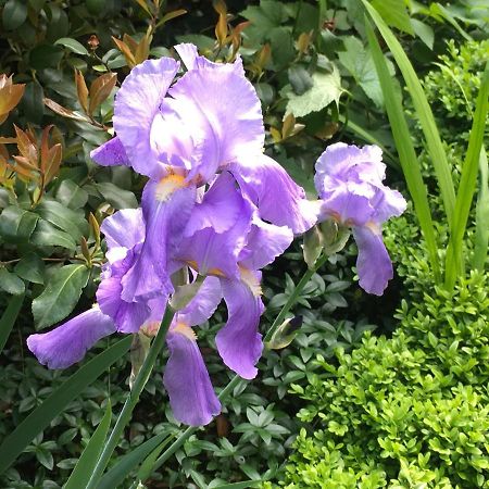 House&Garden Apartment San Donato Milanese Luaran gambar