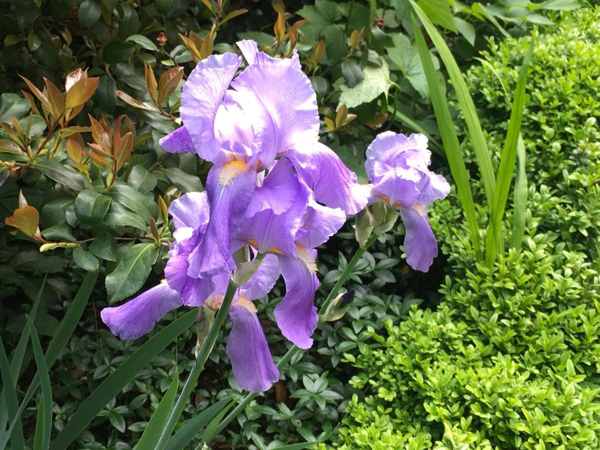 House&Garden Apartment San Donato Milanese Luaran gambar